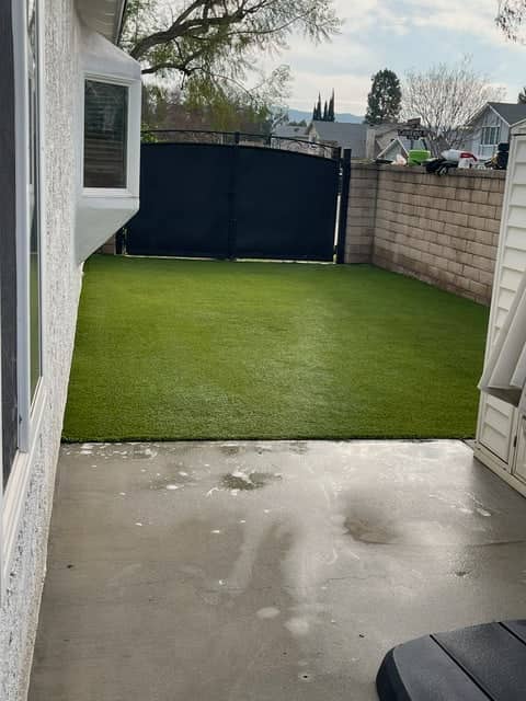 After: backyard