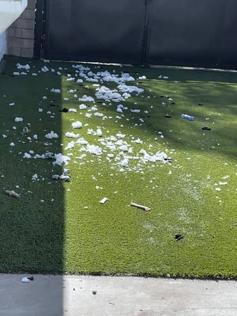 Before: backyard