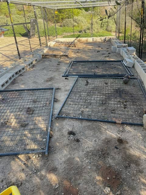 Before: dog enclosure