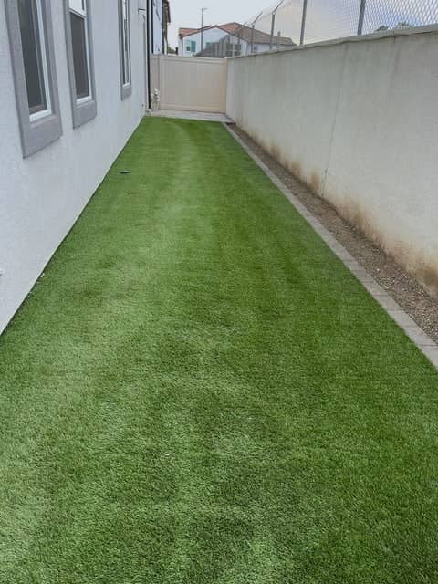 After: side-yard dog run