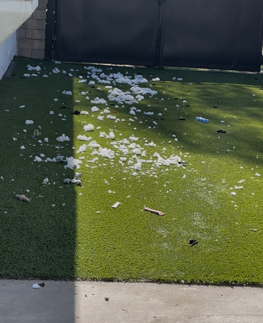 Backyard before cleanup
