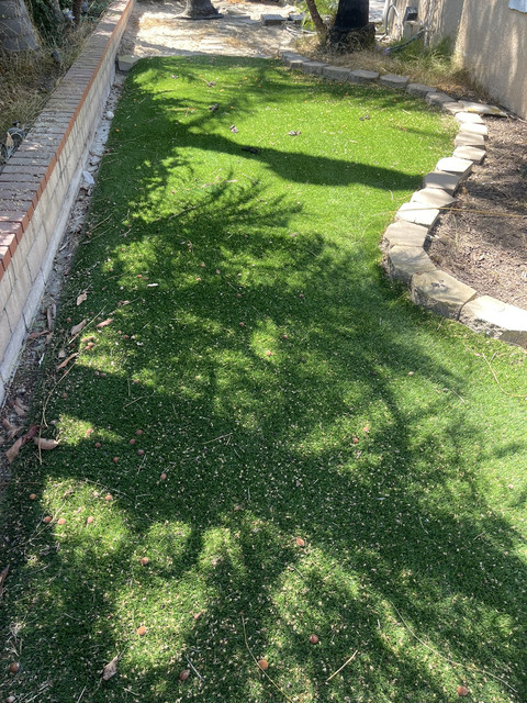 Backyard section before cleanup