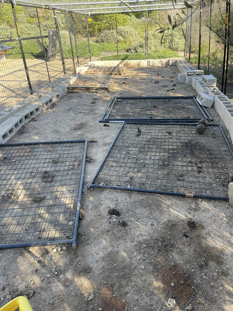 Dog enclosure before cleanup