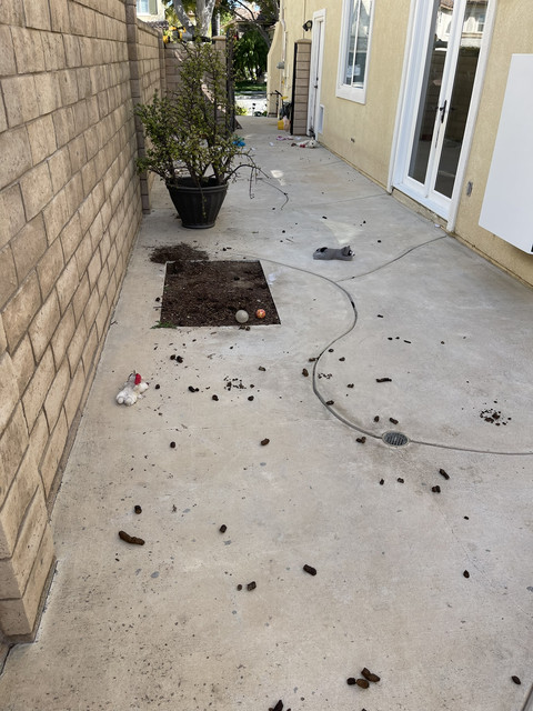 Paved dog run before cleanup