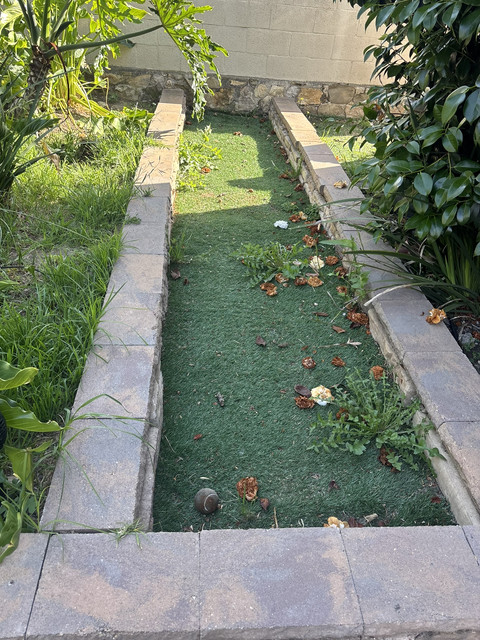 Small yard section before cleanup