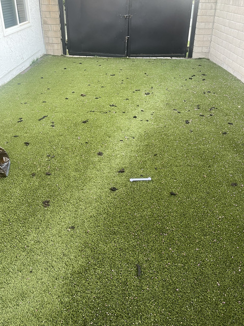 Artificial turf before treatment